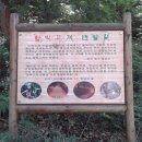 황령지맥 1 금정봉·금용산·화지산·황령산·갈미봉·우룡산·봉오리산 산행기 이미지