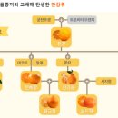 맘스팜 - 강동구 | 맘스팜