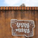 백봉이민진정려 | 논산 여행, 연산면 청동리마을 양지뜸 벽화