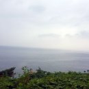 나무향기펜션 이미지