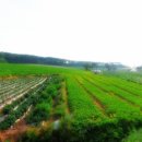 주식회사 베스트부동산중개법인 이미지