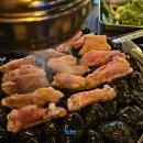 남양1천 | [남양술집추천] 화성시청맛집 남양돌닭 내돈내산 후기
