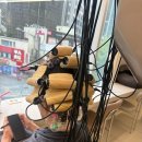 경희대 건너편 버스정류장 | 회기 미용실 플랜에이치 회기점, 회기역 미용실에서 경험한 중단발 레이어드컷 &amp; 레이어드펌 후기