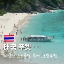 더크린세상 | 푸켓 시밀란 스노클링 투어 크린푸켓 솔직후기