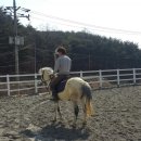 박실승마체험장