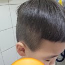 나는 우리집 미용사 이미지