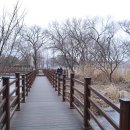 신정호국민관광지 이미지