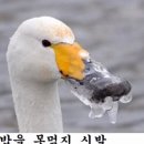 오리언덕 - 칠곡군 | 오리언덕