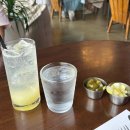 유로파테라스 | 수완지구 양식맛집,수완지구브런치맛집 주차장있는 유로파테라스 후기 내돈내산