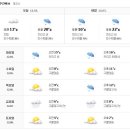 신도반점 이미지