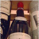 사랑의 묘약 이미지