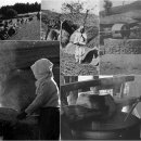 농촌메밀막국수 이미지