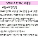 댕스미스 애견미용 이미지