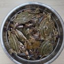 친정오빠가 잡아온 꽃게ㆍ박카지ㆍ참소라! 이미지