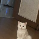 마린파크동물병원 네이버블로그