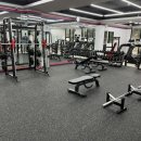 베럴휘트니스 이미지