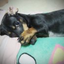 누리아미 이미지