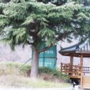 감천계곡 입구 이미지