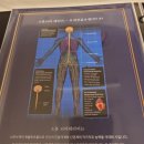 비타뷰티테라피