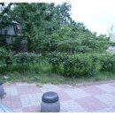 대현어린이공원 이미지