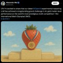 오픈AI, 범용 모델로 국제올림피아드서 '금메달급' 성과 이미지