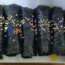 딴또꼬마김밥