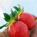 이재현농장 이미지