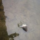 송현낚시터 이미지