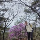 화성에너지개발(주) | [공지] #22 ☆경기 산 추천☆ 화성/수원 칠보산 여행/ 등산 &amp; 마음 끄적임♡ 2탄