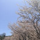 경도 | 🏌️‍♂️여수 세이지우드CC 경도 라운딩 골프패키지 후기｜뷰·코스·숙소 솔직후기