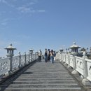 천제연폭포 이미지