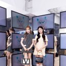 비바리즈