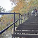 스테이미타스야 이미지