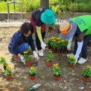 양지리 마을회관 이미지