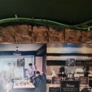 레스토랑펍공존 이미지