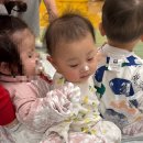 대치4문화센터 | 4개월 아기 문화센터 후기, 아기 문화센터 시기