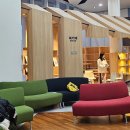 클라이밍 교실 | 속초 [국립산악박물관]클라이밍 좋아하는 아이랑 꼭 가야하는 곳♡