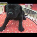 심청농장 이미지