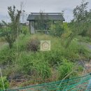 강릉하우스 공인중개사사무소 이미지