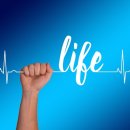 (주)힐링바이오 이미지