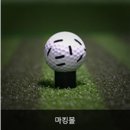 by지유 네이버블로그