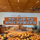 원미당 | [원미당 천안불당본점] 천안 소금빵 맛집 원미당 오픈런 후기🥐 분위기까지 완벽했던 베이커리 카페