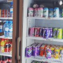 로얄게임랜드 이미지