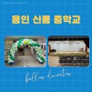 용인신릉중학교 이미지