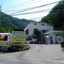 용수목 네이버블로그