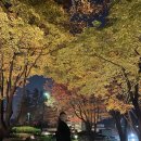 이마트24R 이태원피닉스점 | 그랜드 하얏트 서울 룸에서 와인에 피자, 실내수영장, 숙박 후기
