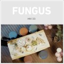 펑거스Fungus 이미지