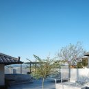 스테이담장 이미지