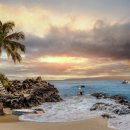 바구스글로벌 이미지