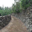 예래 본향당 이미지